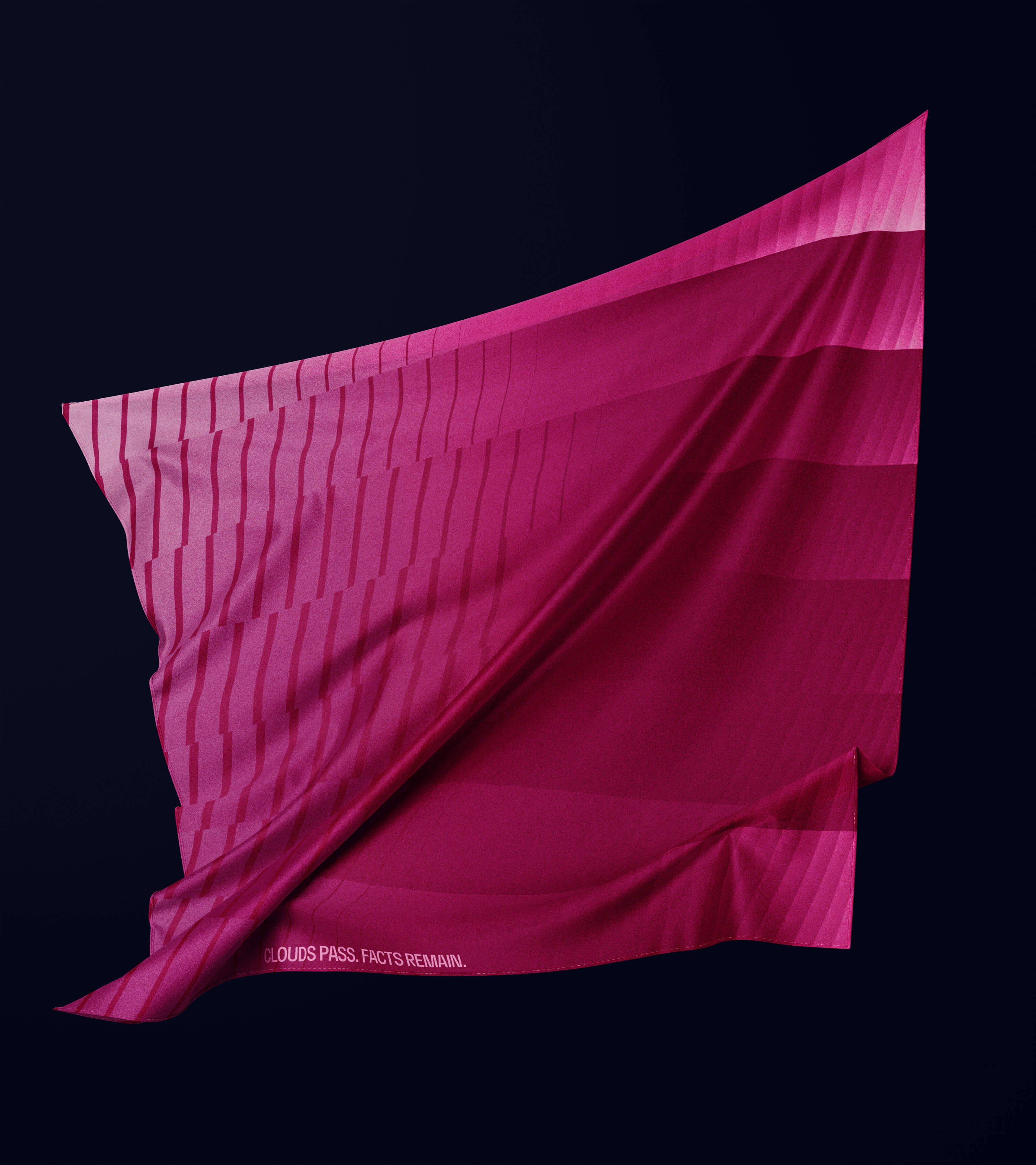 TV Rain — pillow merch